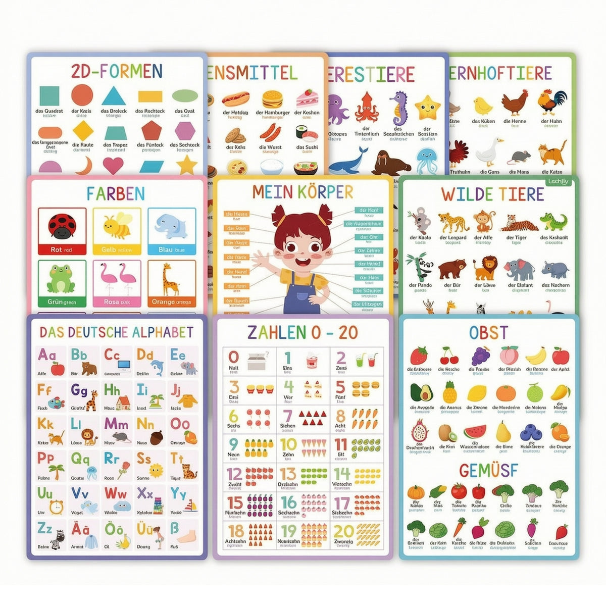 10 Pieces German Learning Poster Laminated German Language Poster Colorful Educational Chart with Lamination for Young Children