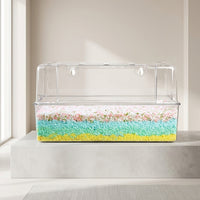 Acrylic Hamster Cage and Rectangular Habitat, Single-Tier Enclosure with Wheel, Cartoon Style Beginner Starter Kit, Indoor Design