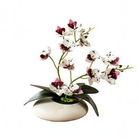 Phalaenopsis Tabletop Flowering Plant Decor 12-Blossom Flowering Plant Bonsai Photography Prop Film Material