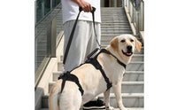 Supportive Dog Lifting Harness Adjustable Dog Harness with Rear Leg Straps Padded Secure for Senior Dogs, Stairs, Car, Walking