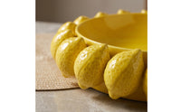 Bowl with Lemon Rim Shallow Fruit Bowl Tableware Versatile Cute for Dining Table, Living Room