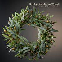 Eucalyptus Wreath Front Door Minimalist Decor, Artificial Eucalyptus Wreath for Spring Summer, Realistic Eucalyptus Vine Decor