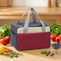 Lunch Box and Insulated Lunch Bags for Women, Oxford Cloth Cool Bag for Food Storage, Handheld Picnic Bag for Camping BBQ, Foldable 8L Capacity