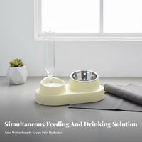 16° Tilted Design Double Bowl Pet Station Easy to Clean Elevated Cat Food and Water Bowl Leak-Proof for Cats, Dogs, Home, Kitchen, Vacation