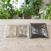 terrarium kit