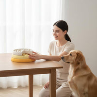 3-Layer Puzzle Food Bowl Rotating Maze Pet Feeder Easy to Clean Interactive Slow Feeder Bowl for Dogs, Young Dogs