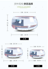 鱼缸玻璃圆形办公桌绿萝水培家用小鱼创意透明小型迷你桌面乌龟缸 中号龟缸+彩石六件套