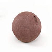 Fitness Ball Cover with Handle Long-Lasting Fitness Ball Cover Skin-Friendly Wear-Resistant for Yogis, Pilates, Home Gym