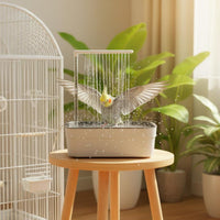 Promotes Hygiene Parrot Bathtub Natural Rain Simulation Recirculating Bird Shower Automatic Bird Shower for Parakeets, Cockatiels, Lovebirds