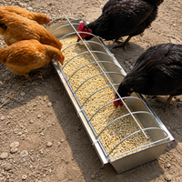 Steel Poultry Feeder, Polished Silver Chicken Feeder for Smallholders, Weatherproof & Vermin Resistant
