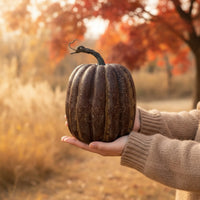 Pumpkin Decorations Orange Foam Pumpkins Indoor Faux Pumpkins for Decorators, Photographers, Table Settings, Photography Props, Autumn Harvest