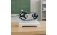 Educational Learning Tool Mechanical Transfer Model Stable Metal Construction Laboratory Mechanics Equipment Complete Set Pulley Demonstration Represent Classroom