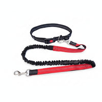 Woven Strap Pet Collar Leash Kit for Walking