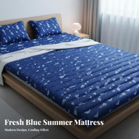 Non-Electric Cooling Water Bed Reusable Water Mattress Pad No Refrigeration Needed Summer Cooling Bed Mat Energy Saving for Couples, Students, Dormitory