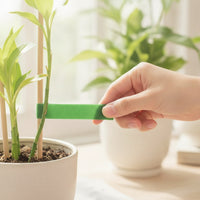 Cut-to-Length Hook-and-Loop Plant Tie Reusable Garden Tie Roll Cuttable Adjustable for Gardeners, Greenhouse, Balcony