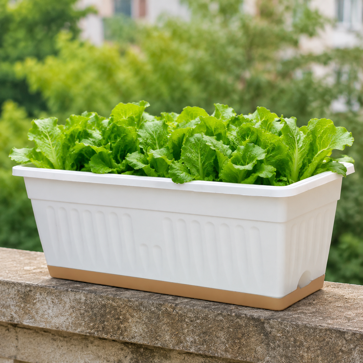 Planter, Flower Pot, Large, Raised Bed, Deep Type, 49×20.5×18cm, Large Capacity, Balcony Garden, Home Vegetable Garden, For Vegetable Cultivation
