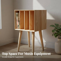 Vinyl Album Storage Rack Vintage Design Vinyl Album Storage Cabinet for Study