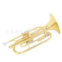 SLADE Marching French Horn with Three Valves for Band and Stage