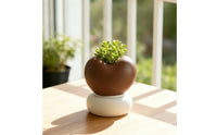 Decorative Heart-Shaped Planter Compact Heart-Shaped Flower Pot Low-Height Tabletop Planter with Base Matte for Minimalists