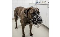Adjustable Straps Breathable Basket Muzzle Long-Lasting Wire Basket Muzzle Anti Bite Pet Accessory Drinkable for Large Dogs, Walks, Training, Vet Visits
