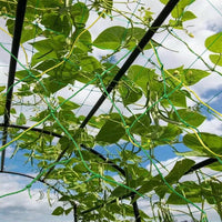 Garden Trellis for Climbing Plants with Heavy Duty Garden Netting, Durable Plant Support for Vegetable Trellis, Green Mesh Pea Netting, 2x5m