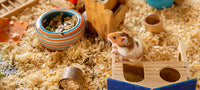 Wooden Hamster Hammock Pet Cage Landscaping Tool Double Hammock Guinea Pig Entertainment Habitat Hideout