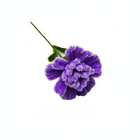 Handmade Carnation Unique Gift Creative Touch for Mothers Day