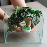Realistic Artificial Plants for Aquatic Tank Decorations, 15cm Faux Plant with Weighted Base Reptile Habitat Decor for Terrariums
