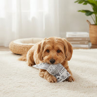 Newspaper Dog Toy Interactive Fake Newspaper Dog Toy Pet-Safe Non for Dogs, Indoor Play