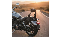 Detachable Motorcycle Backrest Chrome Finish Detachable Sissy Bar for Cruising