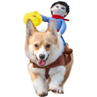 Pet Rider Costume Funny Dog Outfit