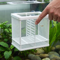 Fish Breeding Isolation Box with Net for Aquarium, Guppy Fry Hatchery and Nursery