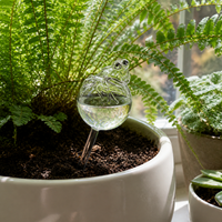 Automatic Gravity Drip Plant Waterer for Indoor/Outdoor Plants