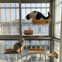 Cat Window Perch and Shelf Combo Set, Foldable Wall-Mounted Cat Perch with Suction Cup, Indoor Cats Climbing Wall for Glass Tile Surfaces 141