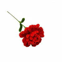 Handmade Carnation Unique Gift Creative Touch for Mothers Day