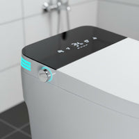 Single-Unit-Piece Toilet Warm Water Automatic Toilet Bathroom Fixture Air Dryer Night Light