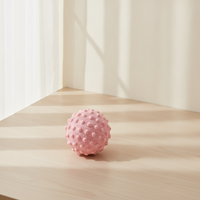 Muscle Relaxation Fascia Ball Fitness Yoga Massage Ball Foot Rehabilitation Neck Shoulder Peanut Ball