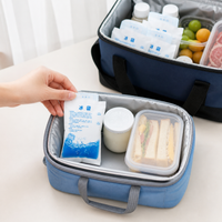 Disposable Self-Sealing Ice Pack for Food Delivery and Refrigeration