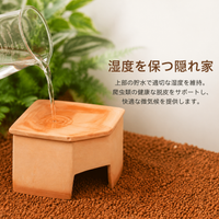 Leopard Gecko Shelter, Reptile Shelter, Hideout, Moisturizing, Terracotta, 2-Pack
