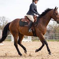 Horse Saddle Pad Breathable Contoured Saddle Pad Padded Tack for Riders