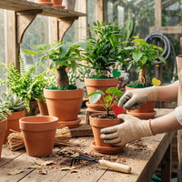 Plant Pots and Flower Pots for Outdoor Plants, Ceramic Pot for Home Office Decor, Terracotta Plant Pots with Normal Process Variations, Clay Pot