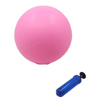 Frosted Fitness Ball with Inflation Needle Portable Fitness Ball Easy to Inflate Stable for Home Workouts