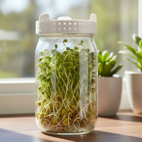 Mason Jar Sprouting Kit for Hydroponic Broccoli Alfalfa Sprouts, Thick Glass Seedling Bottle