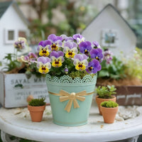 Tapered Metal Planter Pot Cottagecore Planter with Lace Rim Outdoor Pot with Bow Ornament Long-Lasting for Balcony, Patio, Garden