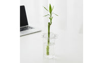 Stainless Steel Metal Flower Frog with Cutouts Rustproof Flower Frog Reusable Vase Grid Easy to Use for Florists, Hobbyists, Tabletop Arrangements, Home Decor