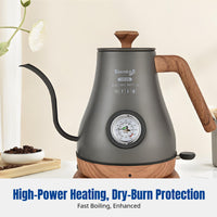 Stainless Steel Electric Drip Kettle, Gooseneck Spout, Temp Control, Home & Office