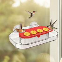 Ant-Proof Hummingbird Feeder with Moat Easy to Clean Suction Cup Feeder No-Drill Tooltool-Less for Patio, Backyard