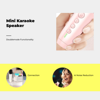 Karaoke mic with stereo speaker