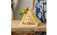 Tabletop Bird Stand Compact Wooden Parrot Stand Tabletop Bird Perch Stable Indoor for Parrots