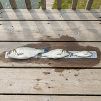 Easy to Install Catch Ruler with Adhesive Backing EVA Foam Catch Ruler Waterproof Large Numbers for Fishermen, Anglers, Boats, Kayaks